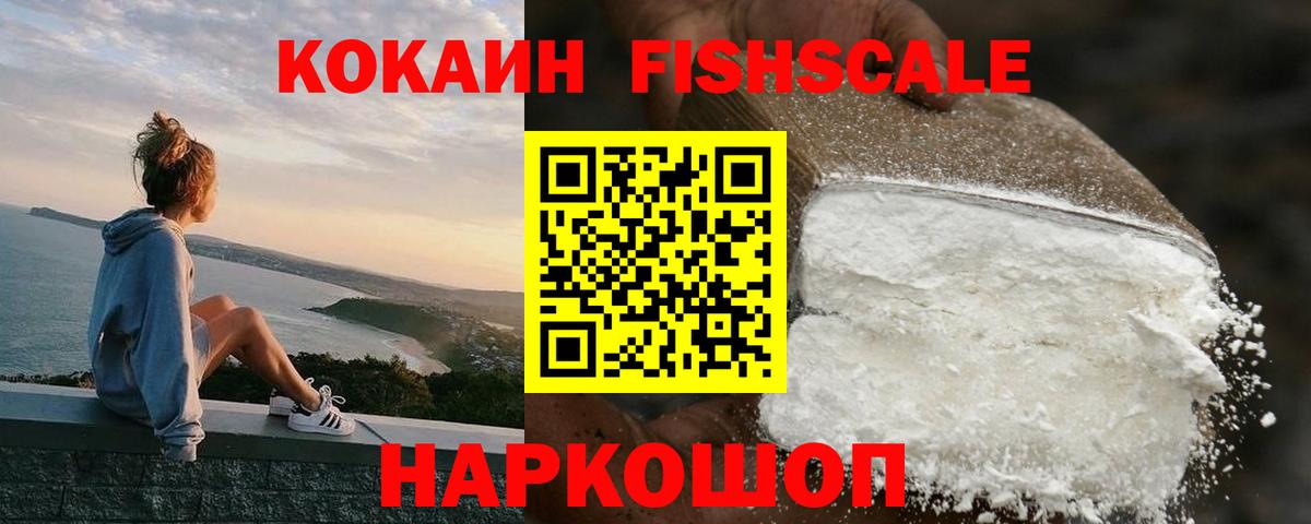 КОКАИН 97%  купить наркотики сайты  КОКАИН Fish Scale  Камышлов  Вход с VPN 