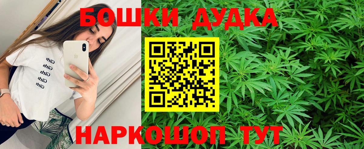 Конопля сатива Камышлов